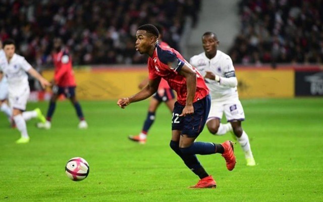 它证明了中 它证明了中