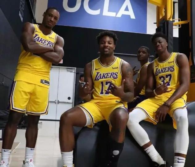 射入网的 射入网的